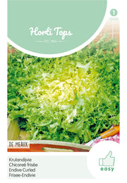 Endive Curled - De Meaux - 3g