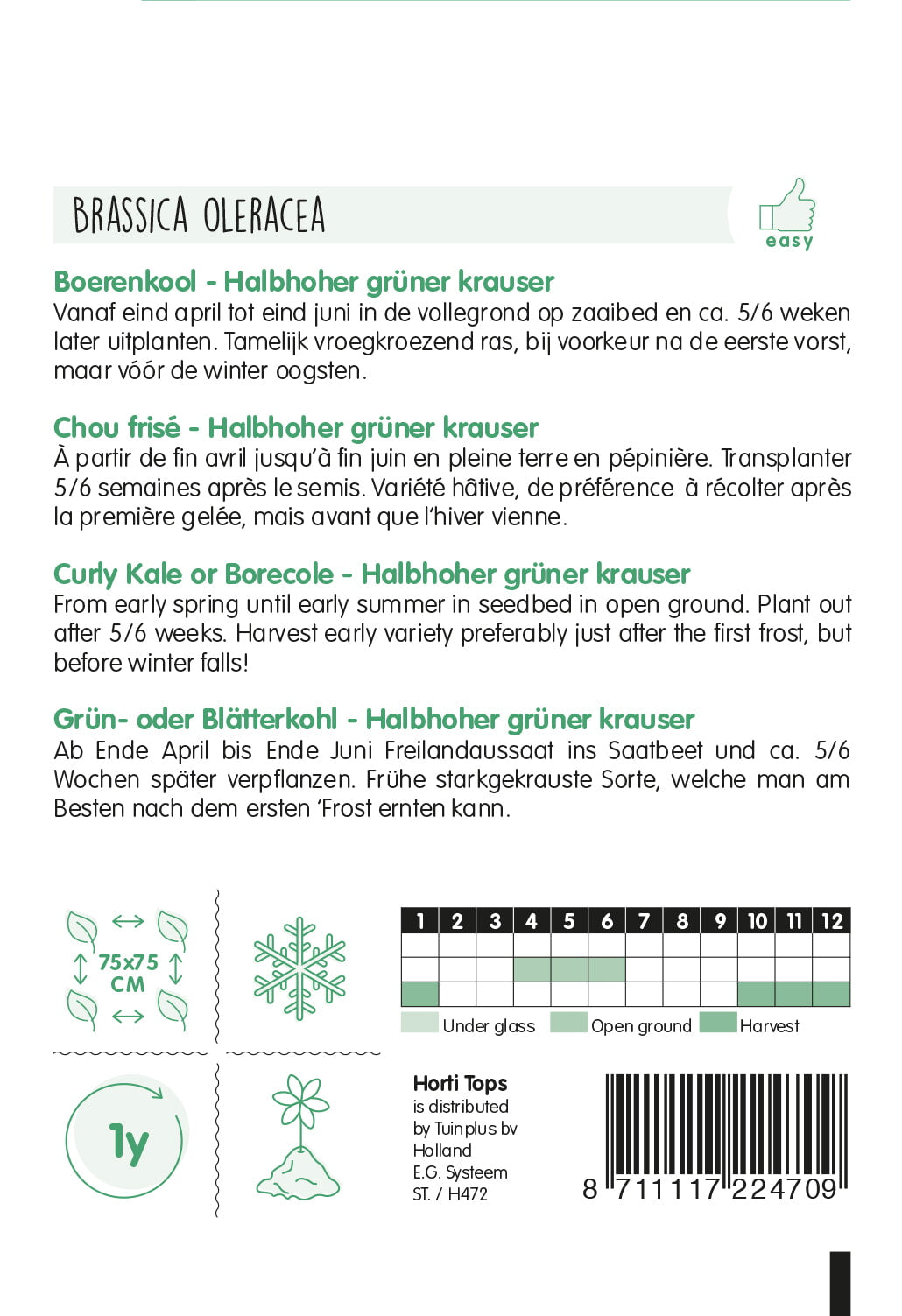 Kovrčavi Kelj - Grüner Krauser - 3g