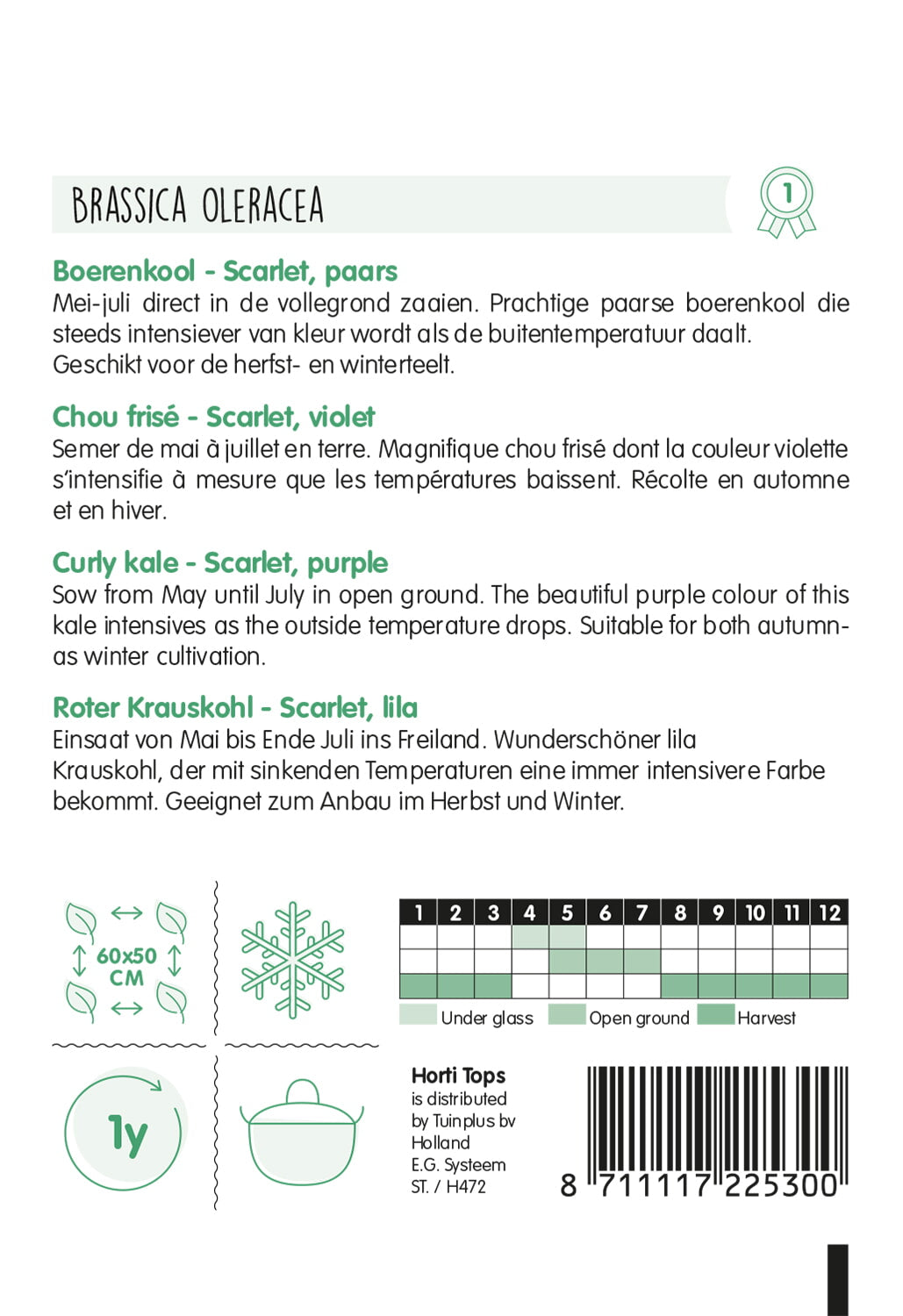 Curly Kale - Scarlet - 2g