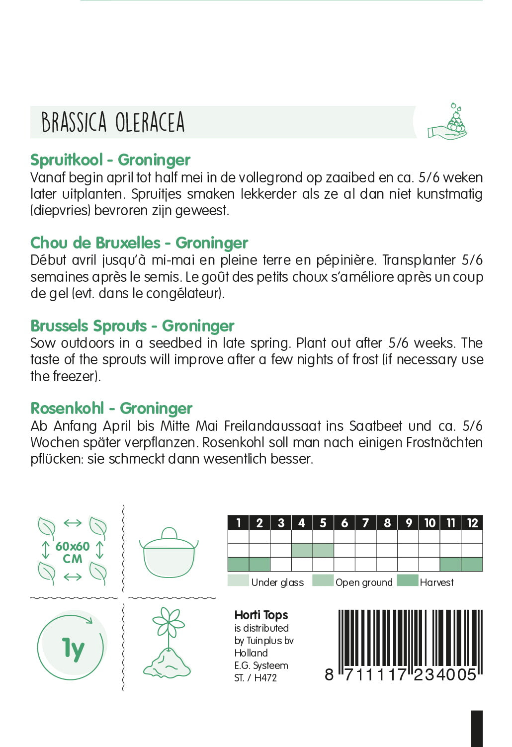 Prokulice - Groninger - 2g