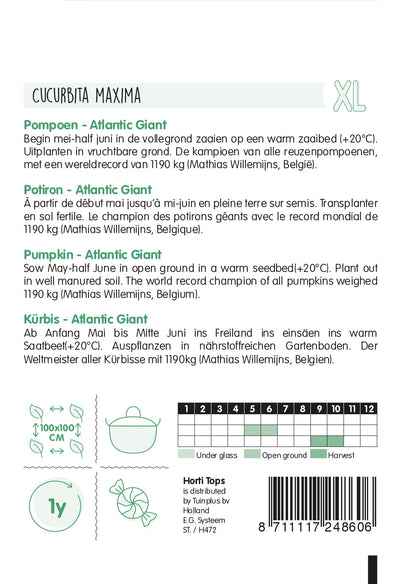 Bundeva - Atlantic Giant - 2,5g
