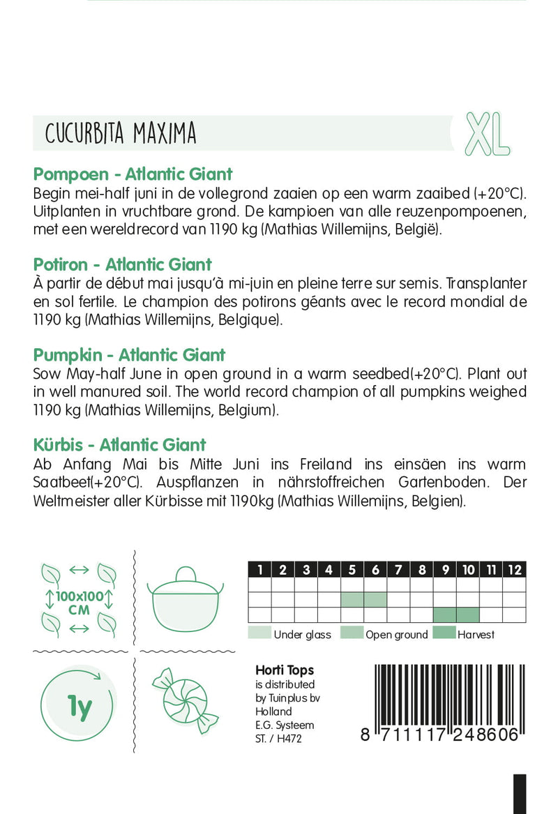 Bundeva - Atlantic Giant - 2,5g