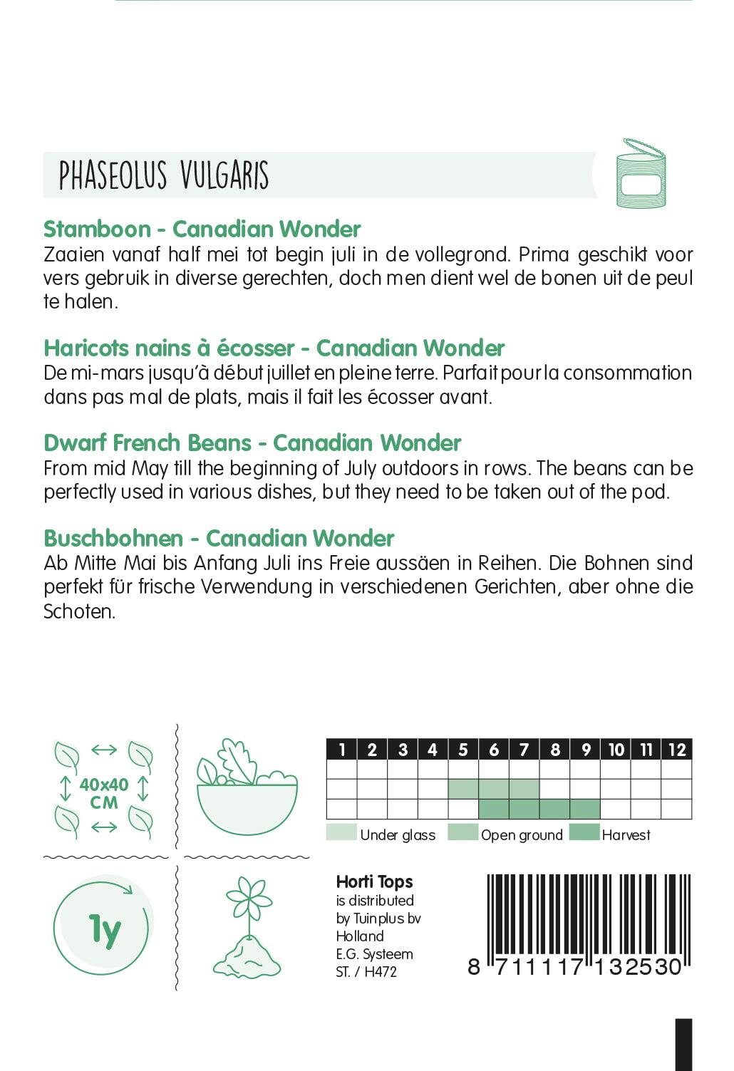 French Dwarf Beans - Canadian Wonder - 15g