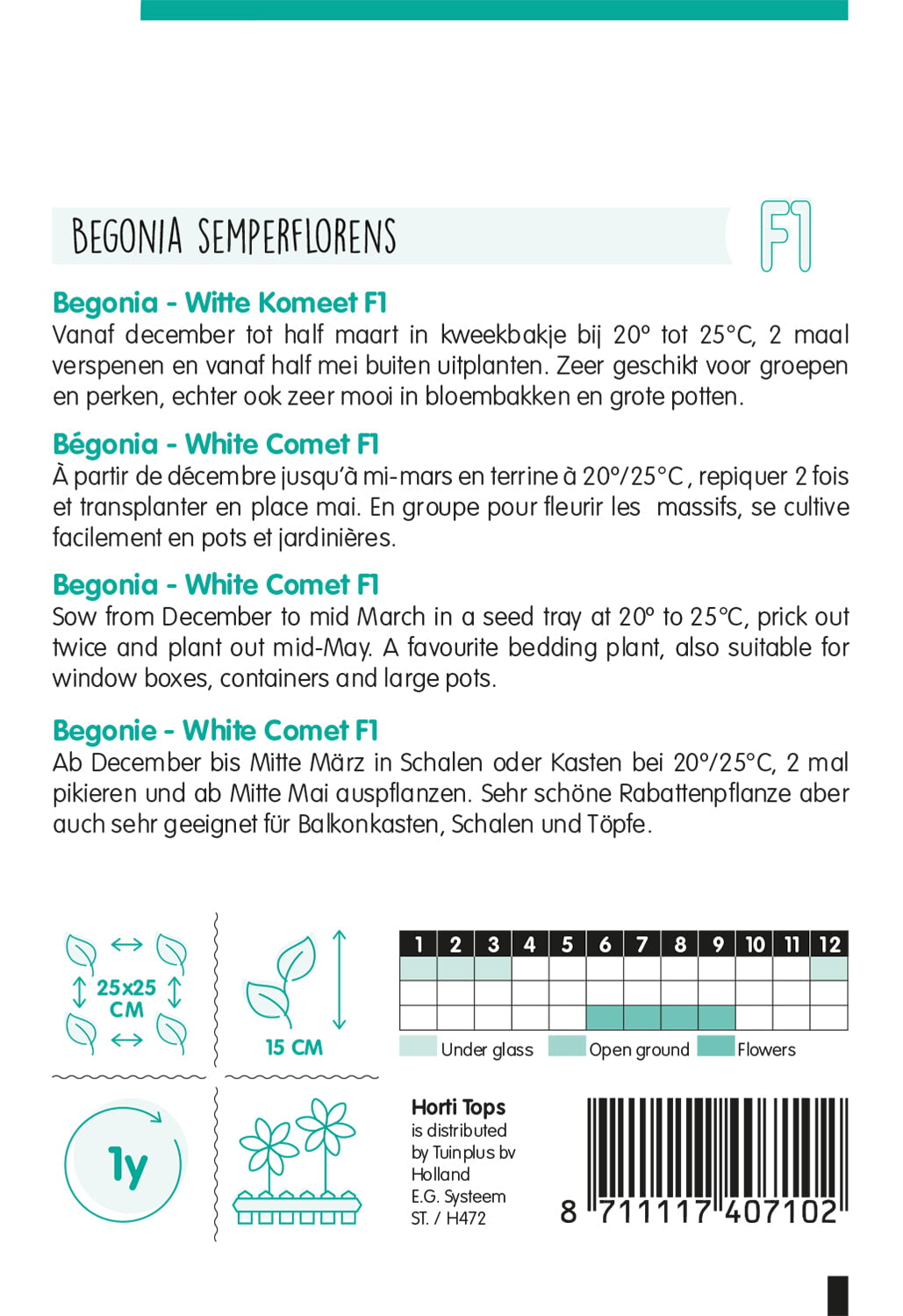 Begonija  - Witte Komeet F1 - 700 Sjemenki