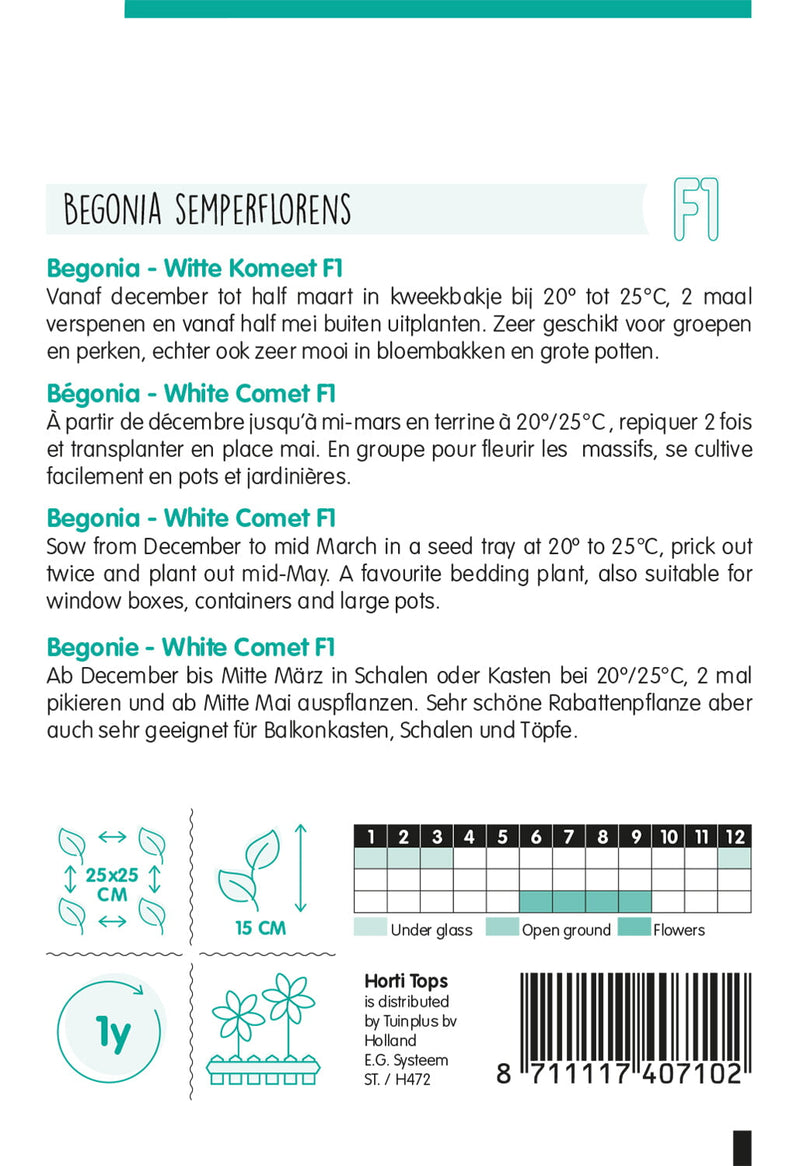 Begonia - Witte Komeet F1 - 700 sjemenki