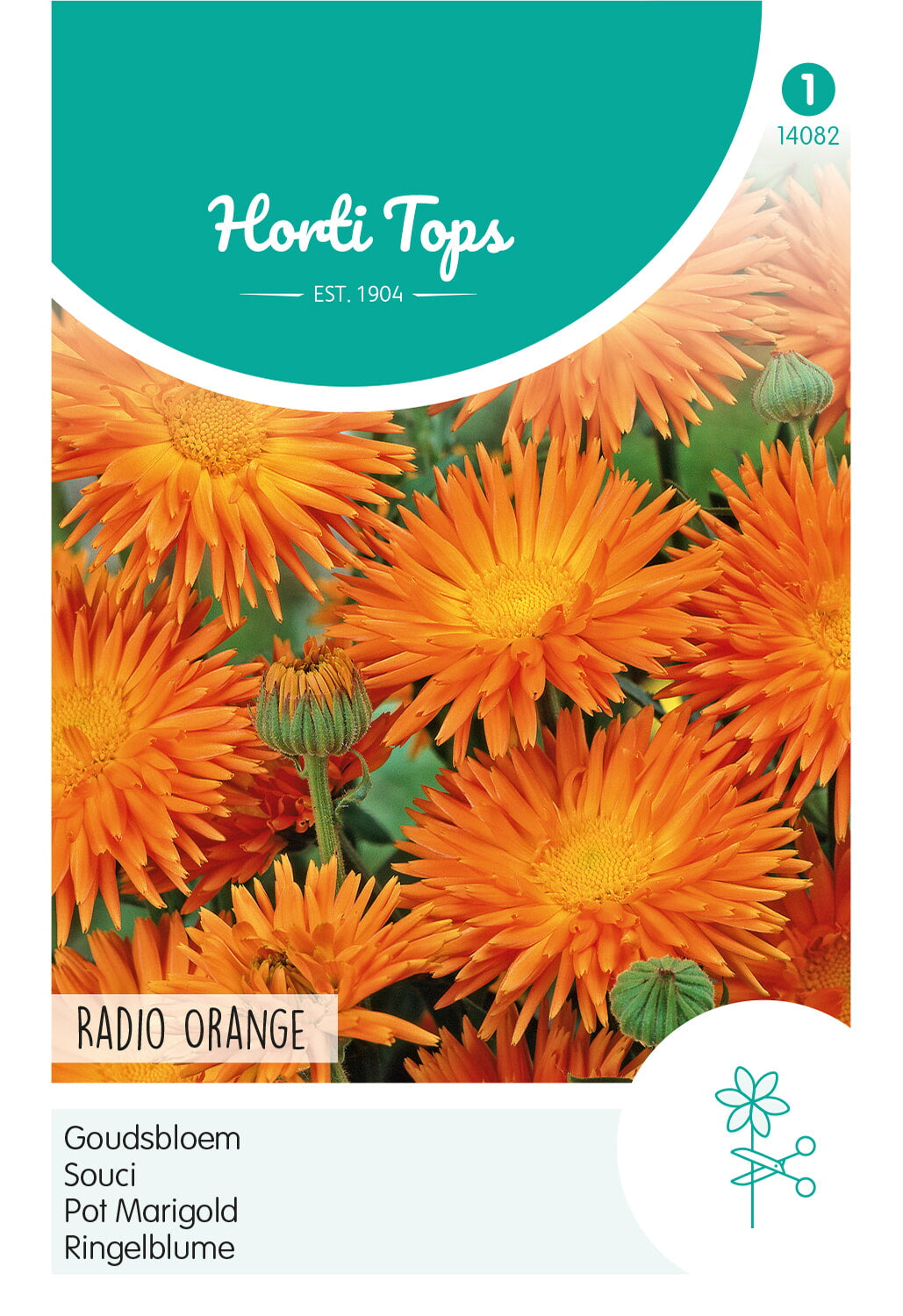 Pot Marigold - Radio Orange - 2g