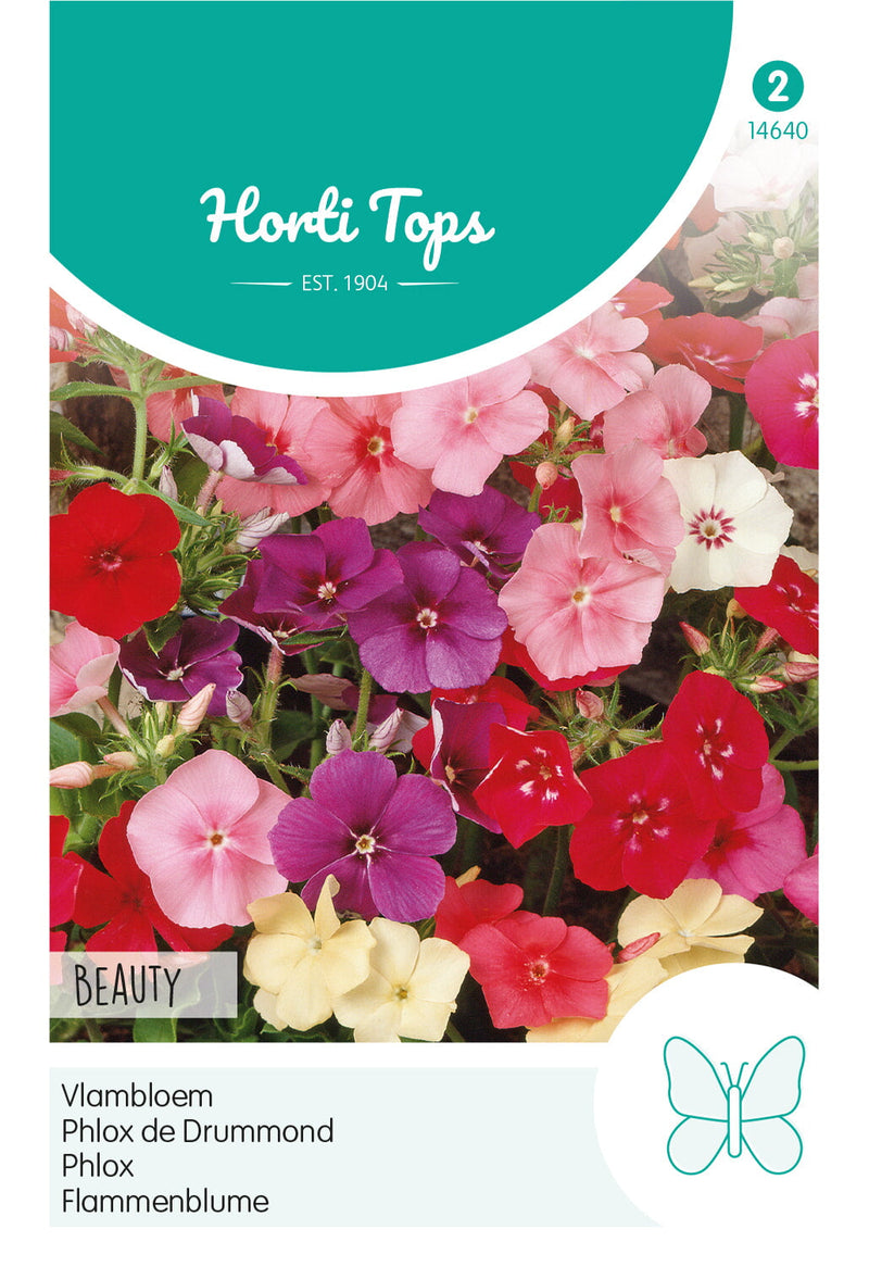Phlox - Beauty - 0,5g