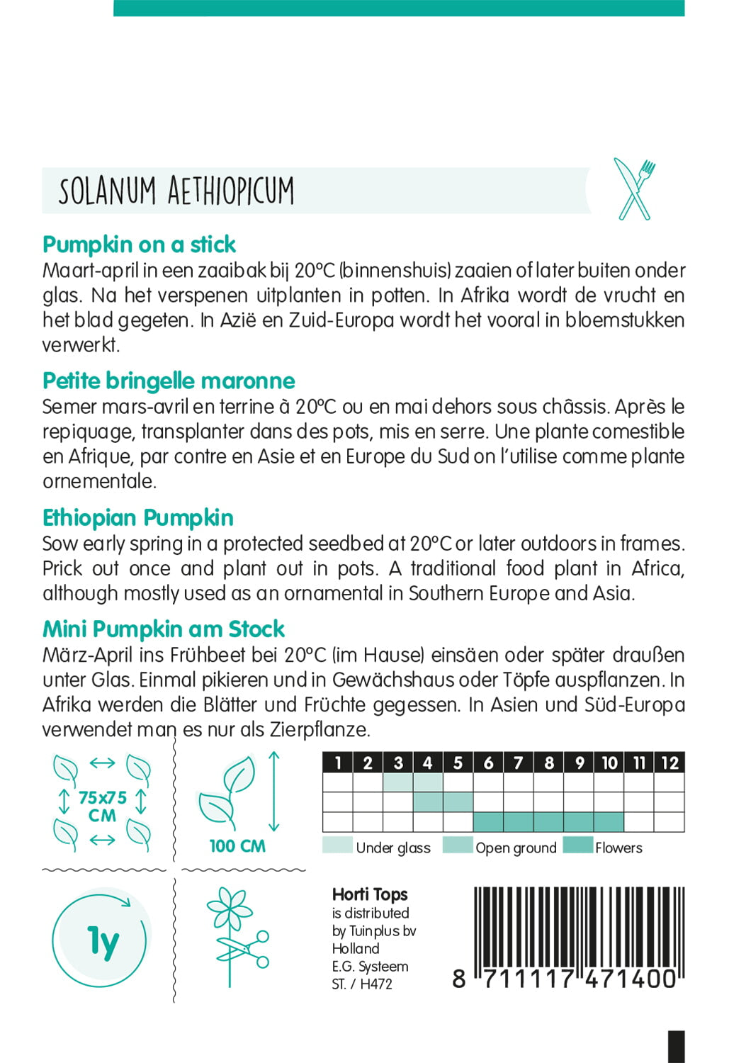 Bundeva na štapiću - 15 sjemenki
