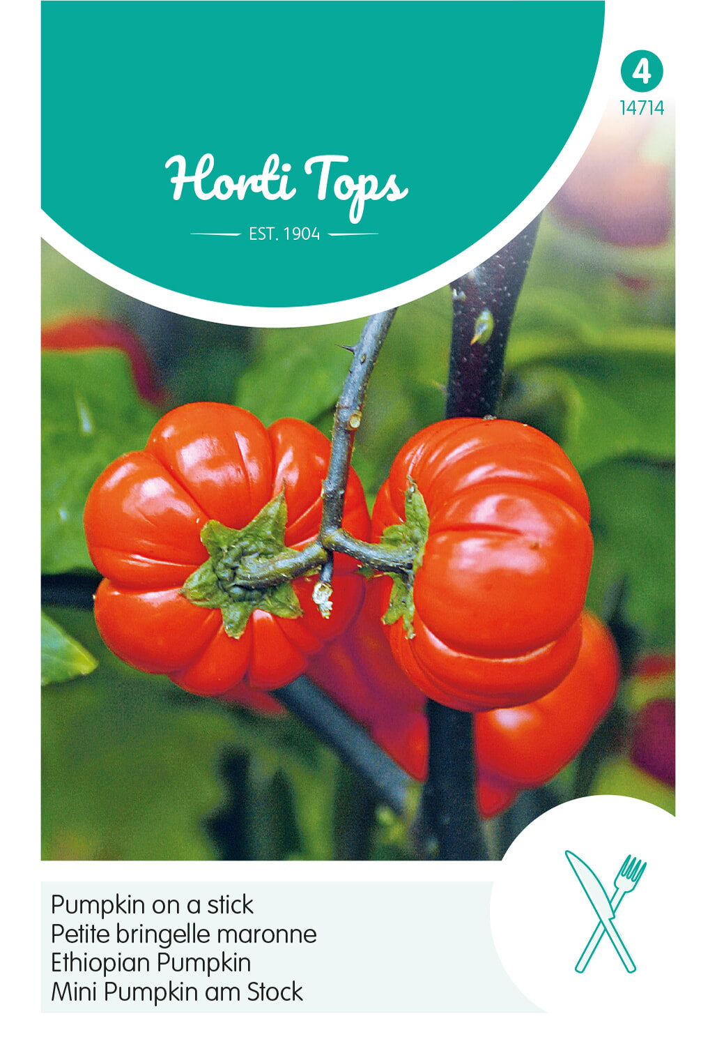 Bundeva na štapiću - 15 sjemenki