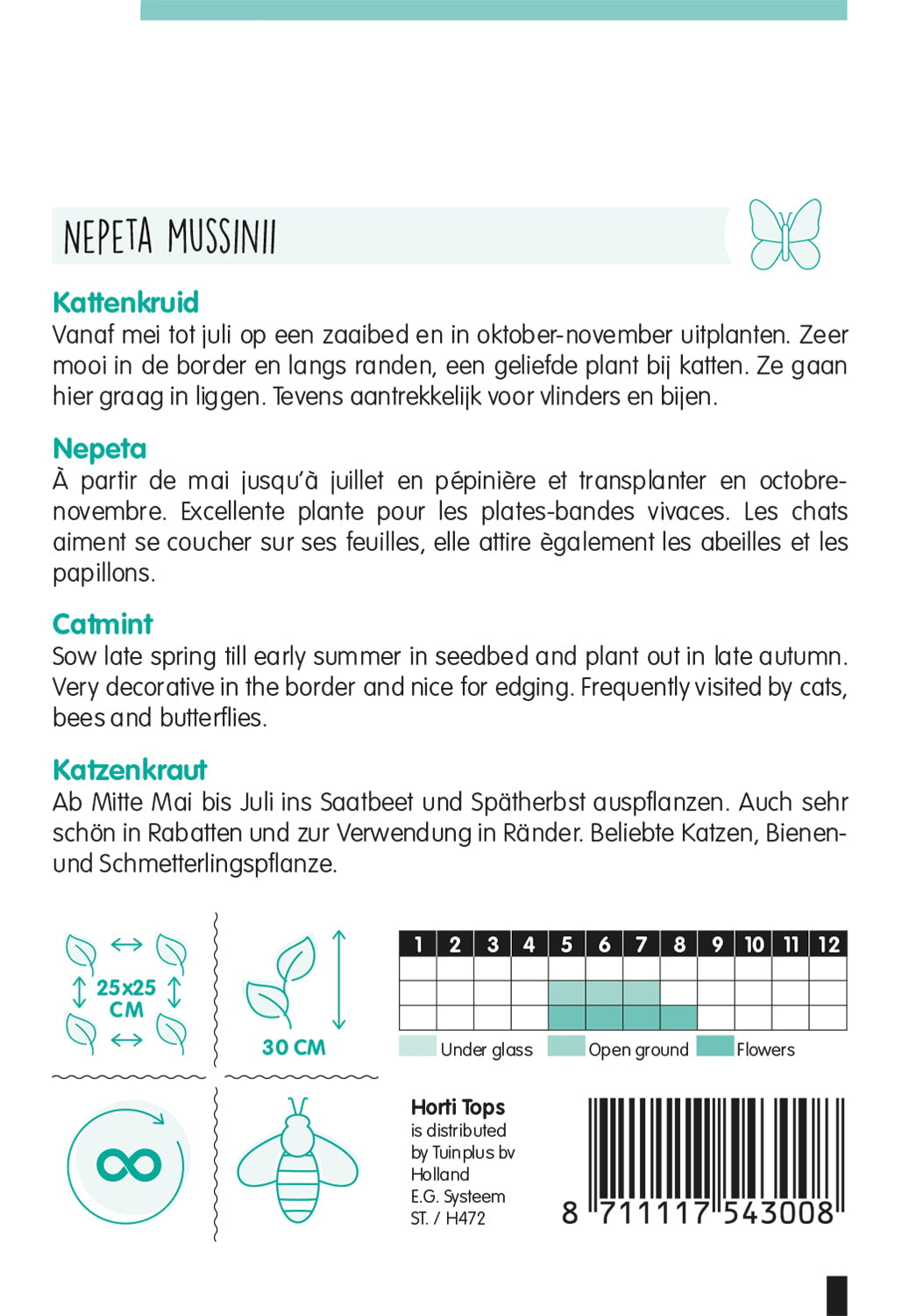 Catmint - Nepeta - 0,25g