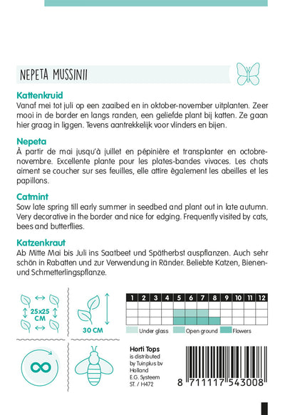 Catmint - Nepeta - 0,25g