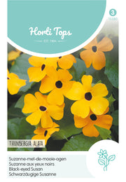 Black Eyed Susan - Yellow - 0,5g