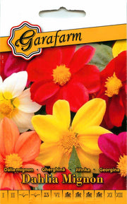 Dahlija Mignon - 0,5g
