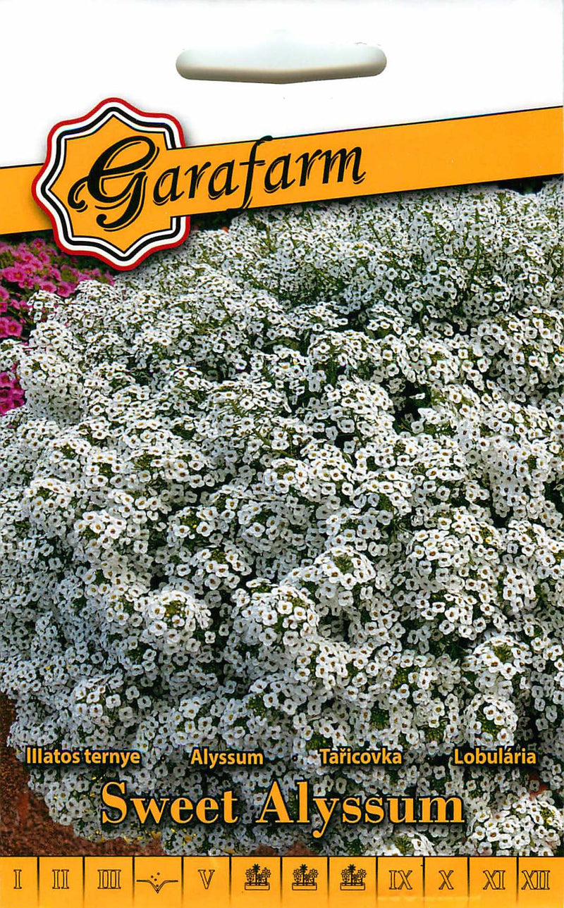 Slatki alisum - Bijeli - 0,5g