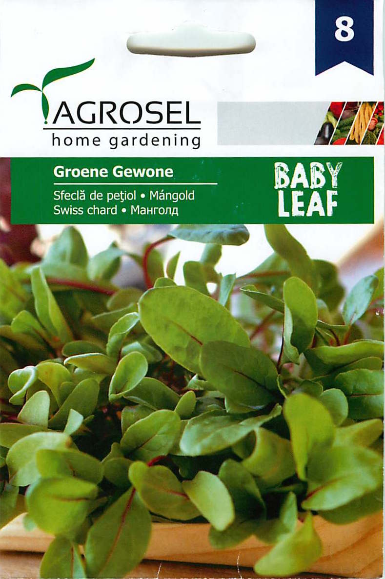 Blitva - Baby Leaf - Groene Gewone - 4g