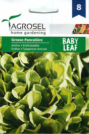 Mladi List Endivija - Grosse Pancaliere - 2,5g