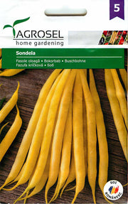 Bush Bean - Sondela - 30g