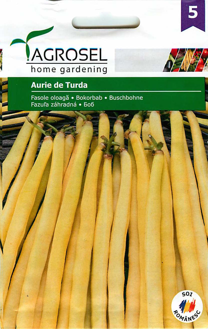 Grmoliki grah - Aurie de Turda - 25g