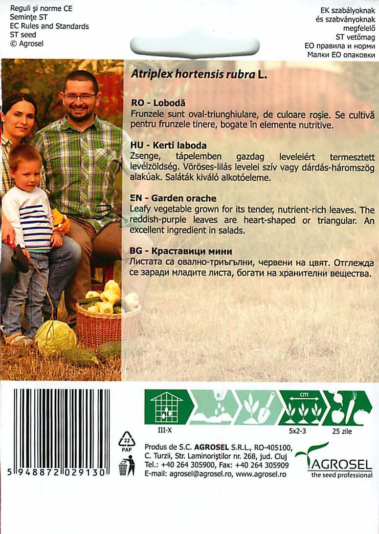 Vrtna Loboda - Mladi List  - 2g